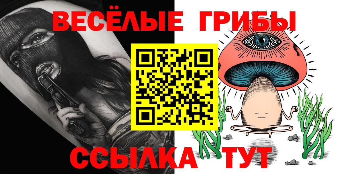 Псилоцибиновые грибы прущие грибы Шахты