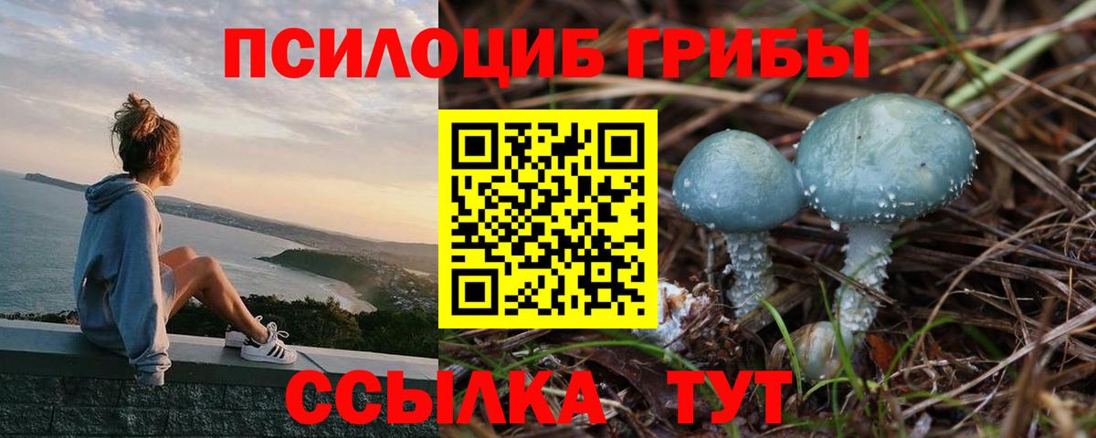 наркошоп  Вход с VPN  Шахты  Псилоцибиновые грибы Magic Shrooms 